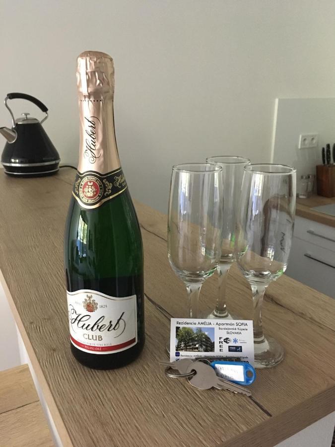 Rezidencia Amelia - Apartman Sofia Bardejovské Kúpele Buitenkant foto